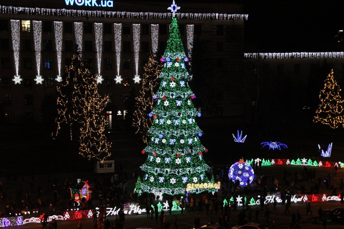 Центральная елка сияет сотнями ярких огней