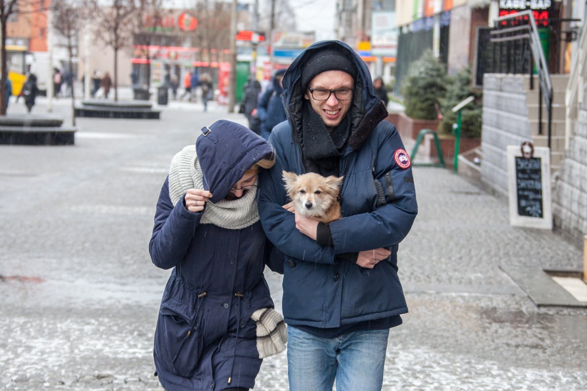 Понеси меня, у меня лапки Понеси меня, у меня лапки