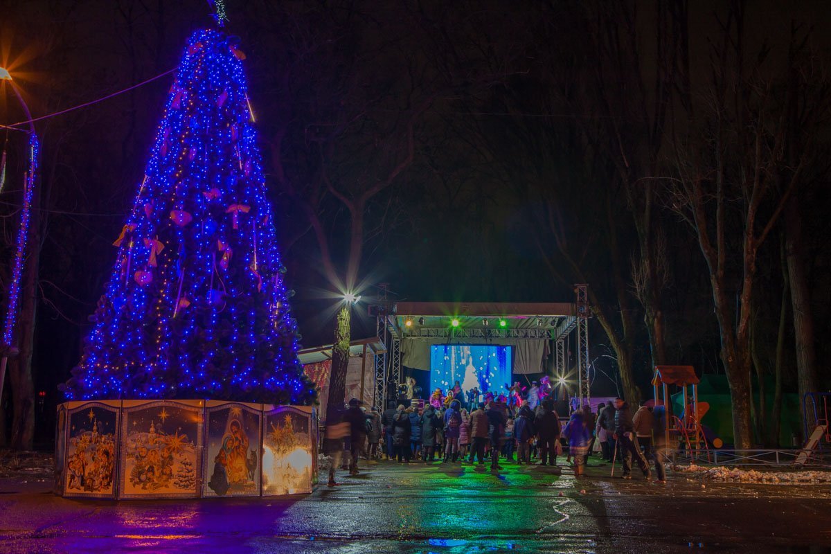 Елку в этом парке установили на центральной аллее еще 19 декабря Елку в этом парке установили на центральной аллее еще 19 декабря