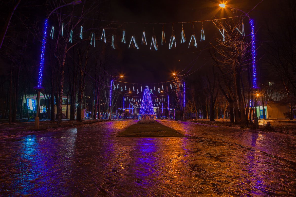 Главная аллея в парке Писаржевского Главная аллея в парке Писаржевского