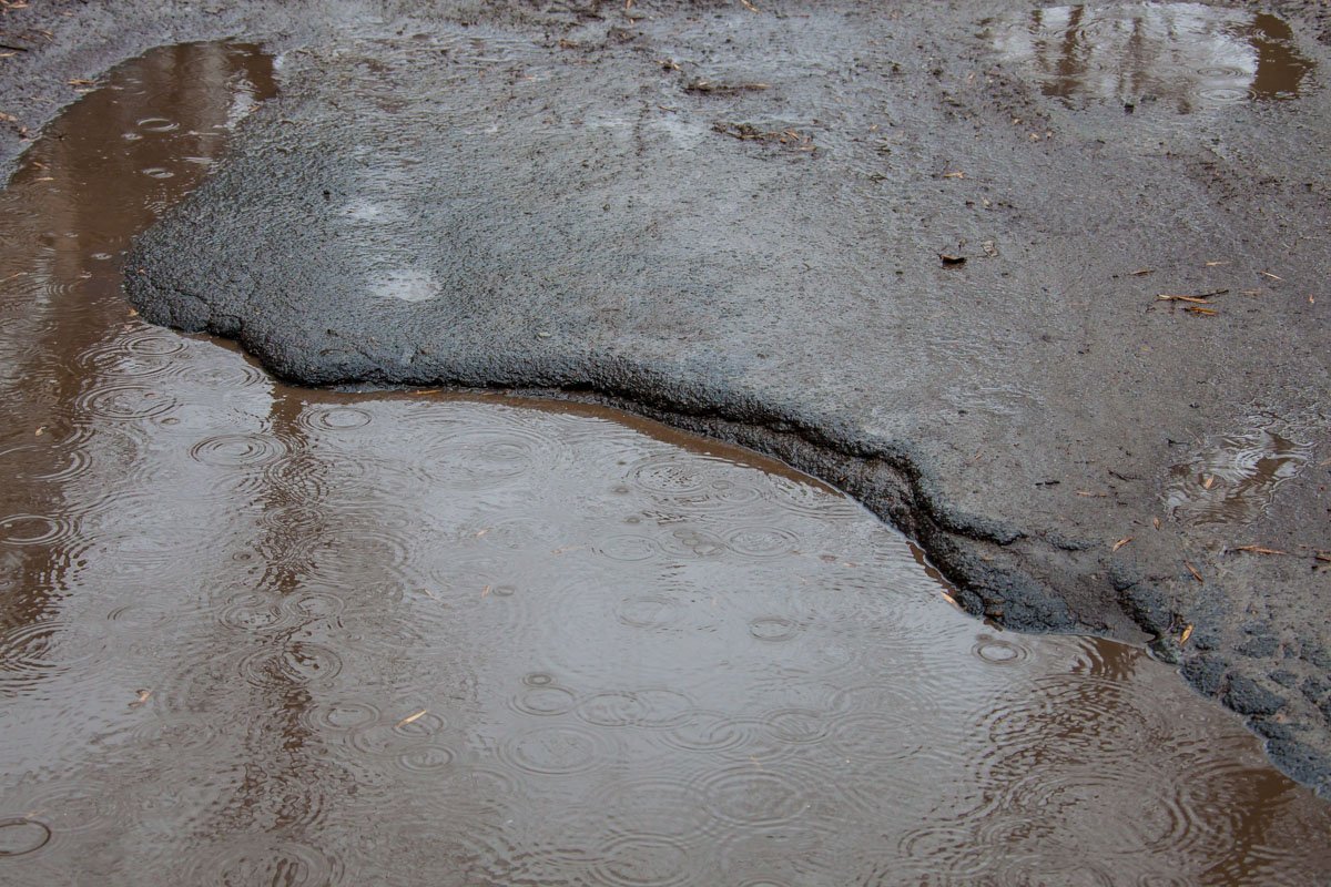 Фото Андрея Шушпана