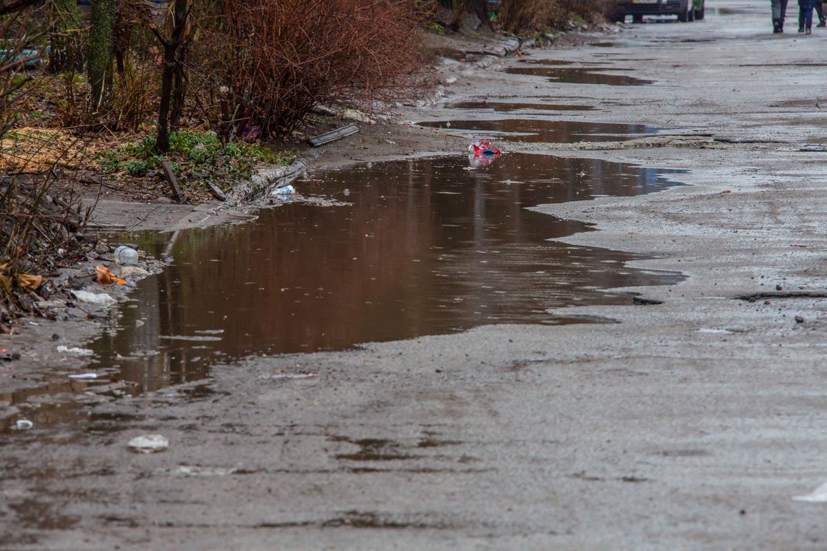 Природные озера на проспекте Александра Поля