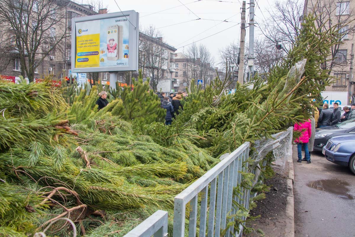 Каждый может выбрать елку на свой вкус Каждый может выбрать елку на свой вкус