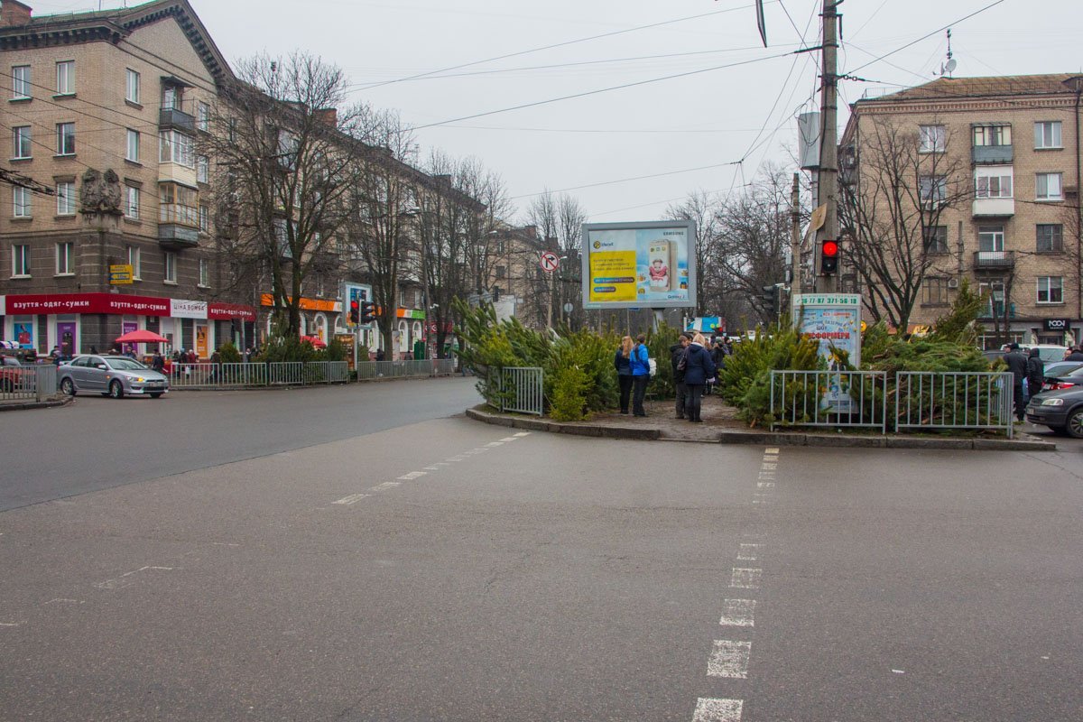 На улице Титова расположились сразу две точки продажи елок, однако у продавцов одной из них нет положенных документов На улице Титова расположились сразу две точки продажи елок, однако у продавцов одной из них нет положенных документов