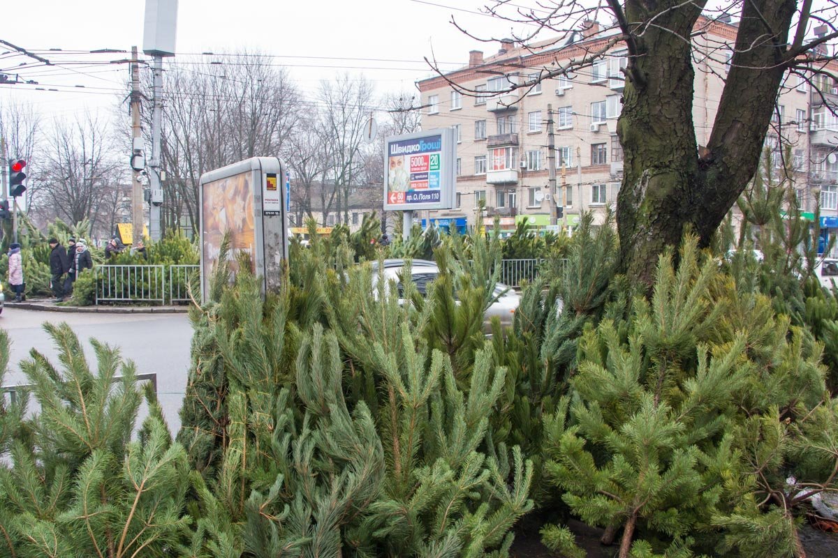 Фото: Андрей Шушпан Фото: Андрей Шушпан