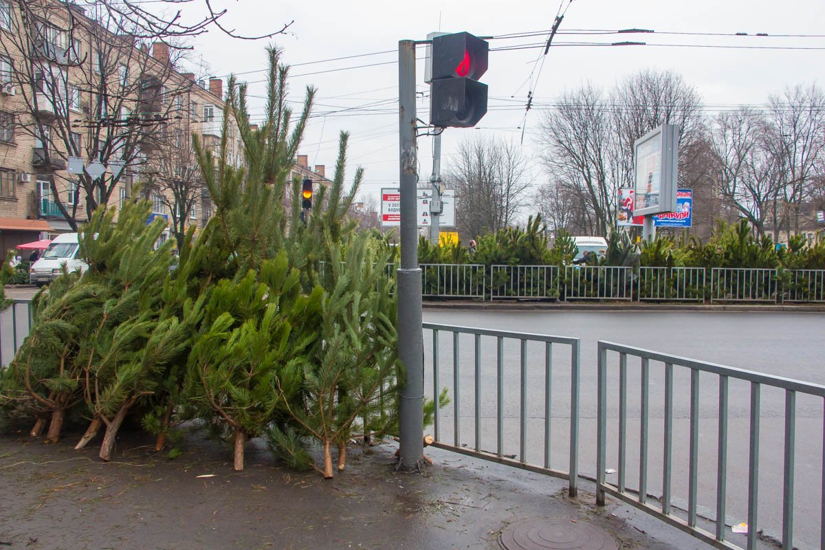 У продавцов этой точки нет разрешительных документов У продавцов этой точки нет разрешительных документов