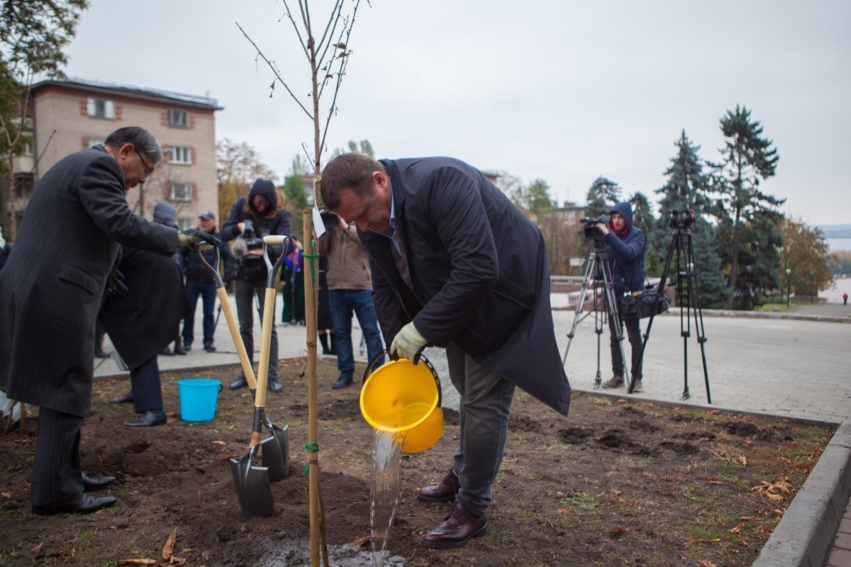 Что изменилось в благоустройстве Днепра в 2017-м году 2