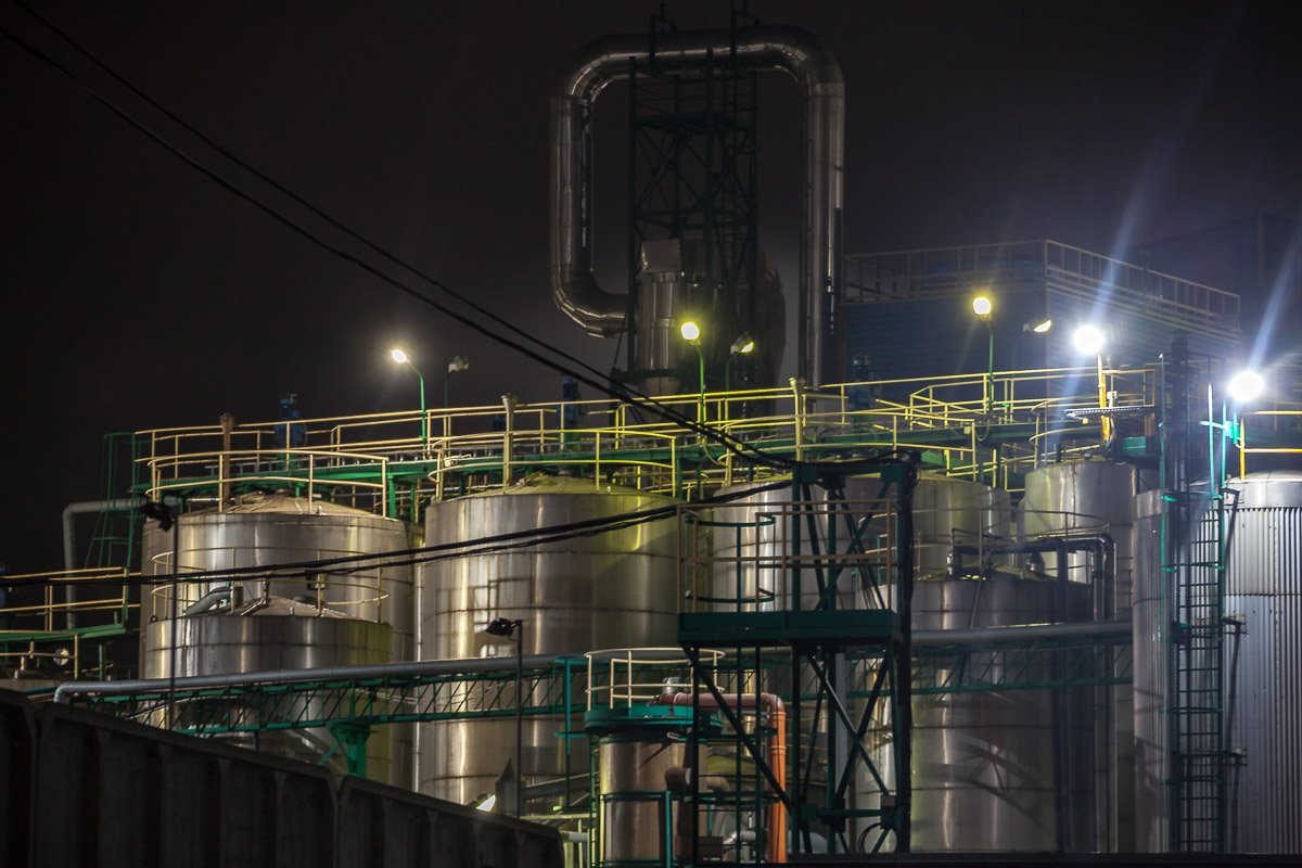 Фото: Андрей Лысенко