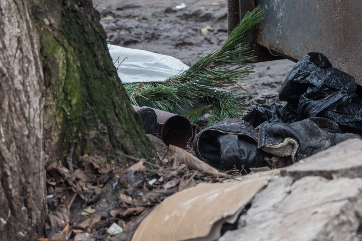 Фото Дениса Карпенко Фото Дениса Карпенко