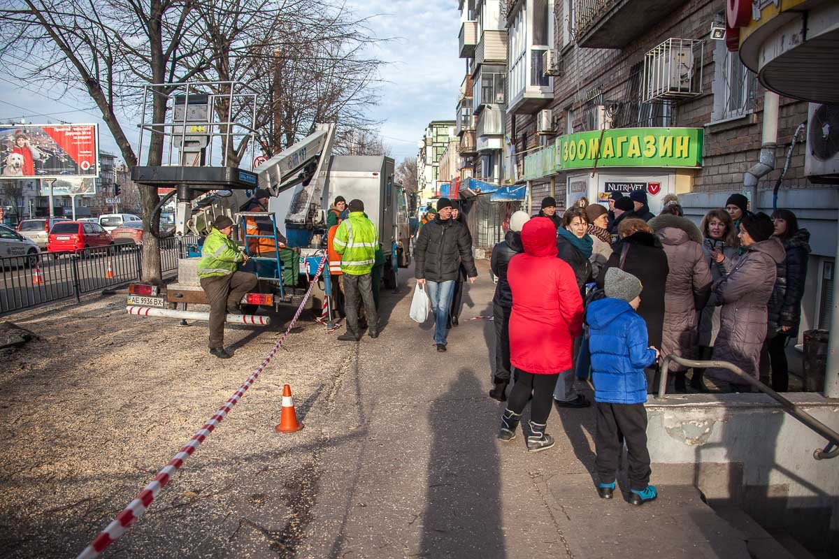 Жильцы возмущены тем, что коммунальщики спиливают деревья Жильцы возмущены тем, что коммунальщики спиливают деревья