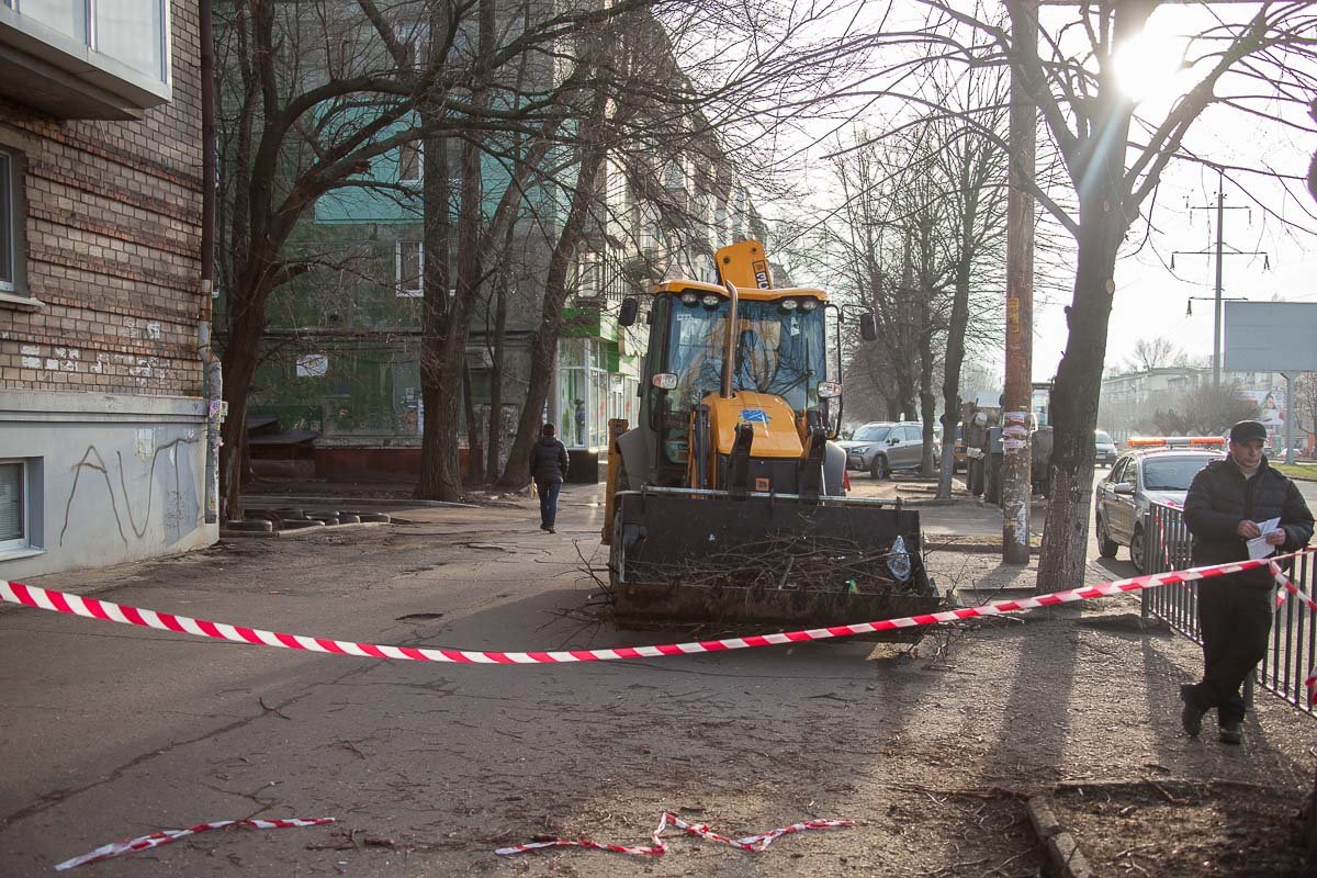 Сухие ветки уже погрузили Сухие ветки уже погрузили