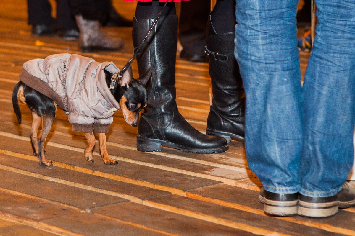 А у кого-то настроение совсем не праздничное