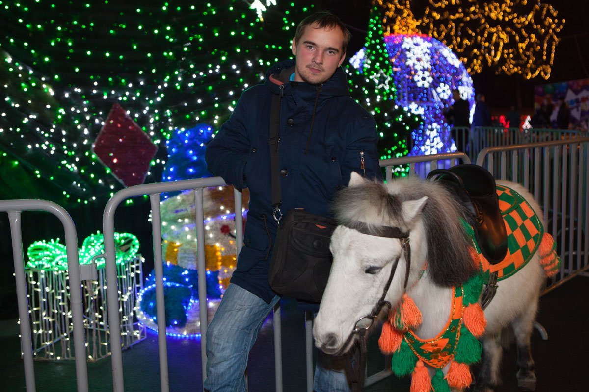 Любой желающий может прогуляться с пони