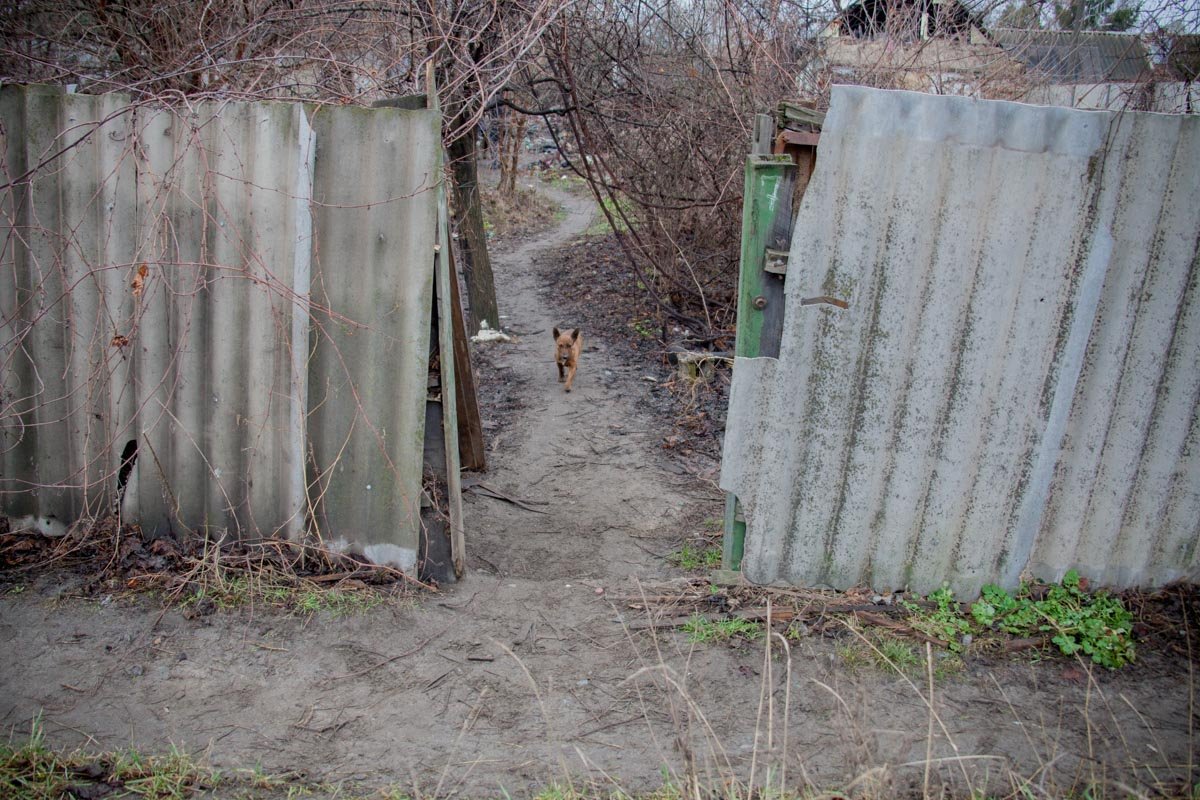 Туп мужчины нашла его мама