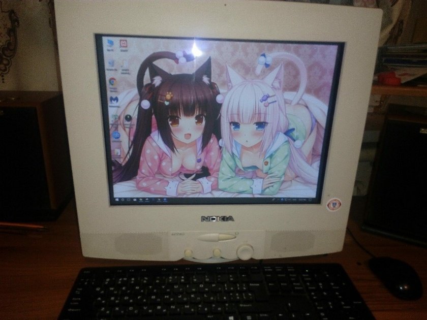 Они смотрят прямо в душу Они смотрят прямо в душу