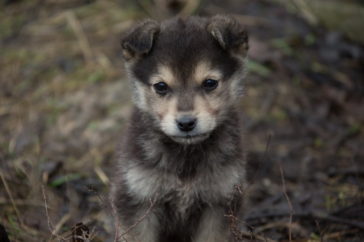 Меленький гроза района Меленький гроза района