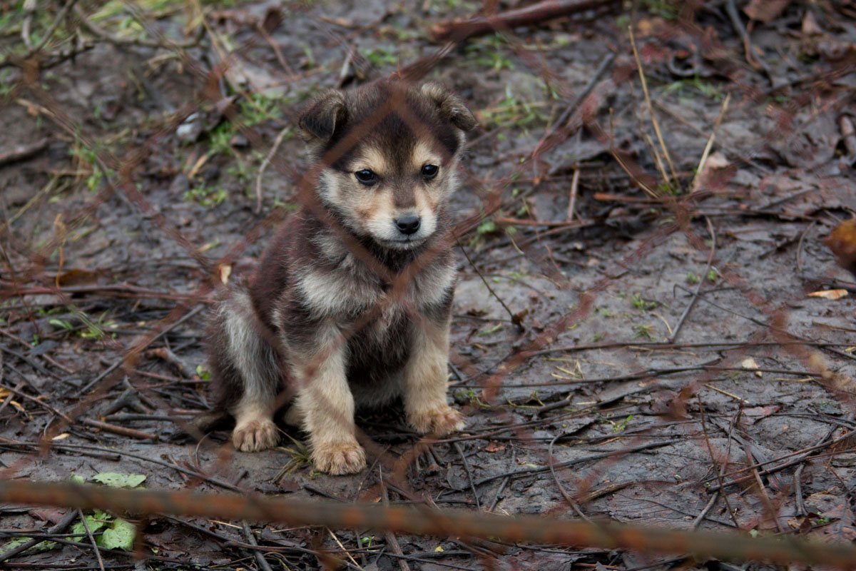 Сейчас будет кусь Сейчас будет кусь