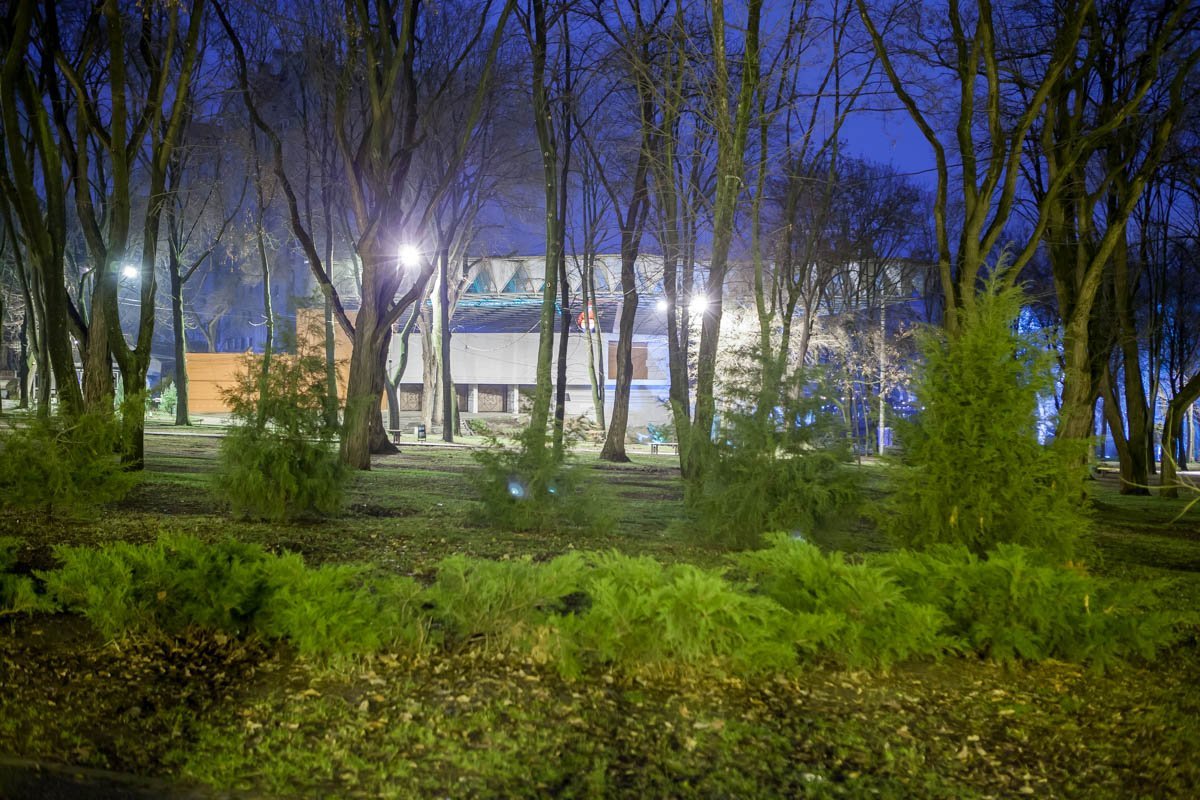 Погода на завтра: зимой и не пахнет Погода на завтра: зимой и не пахнет