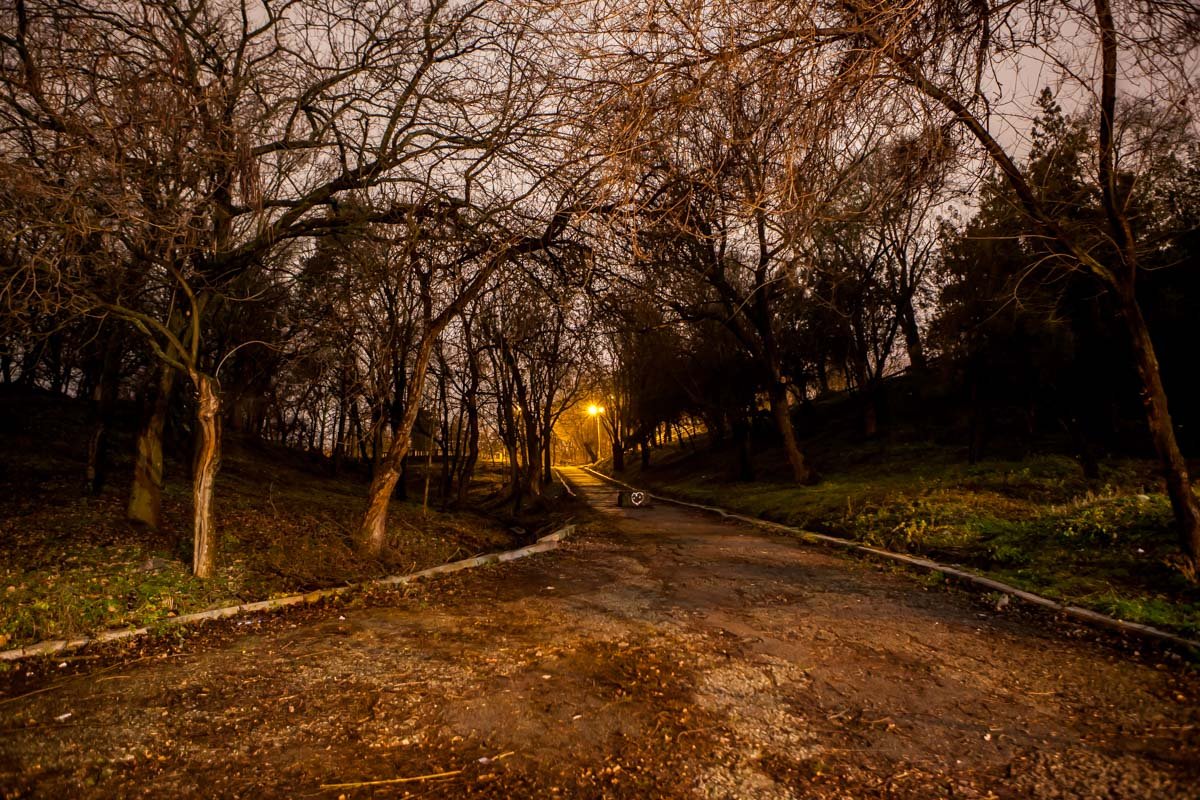 Атмосфера загадочности овладела городом Атмосфера загадочности овладела городом