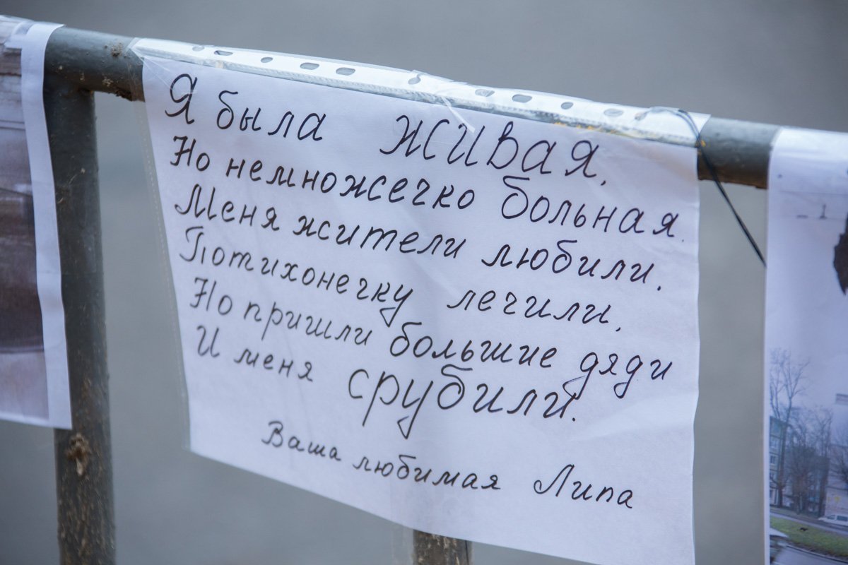Записка от липы Записка от липы