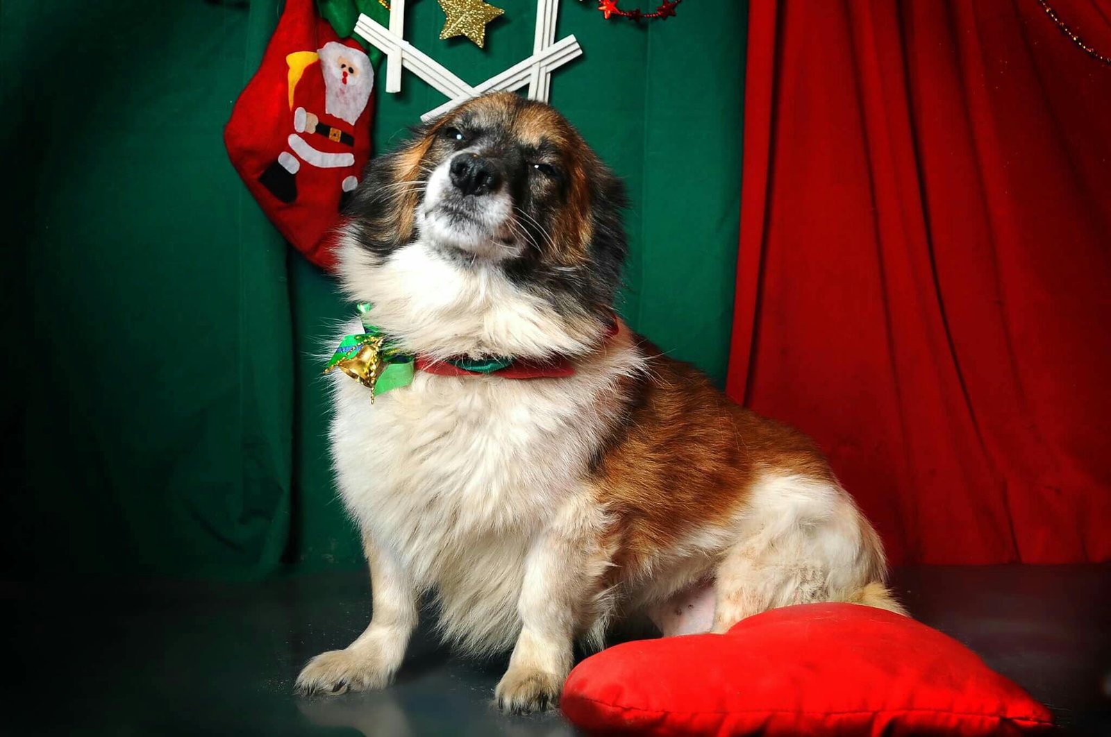 Он смотрит прямо в душу