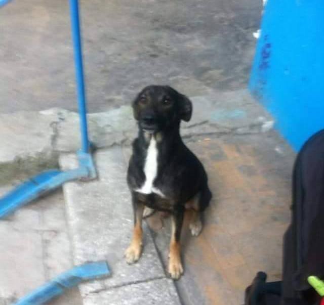 Всегда будет на страже 