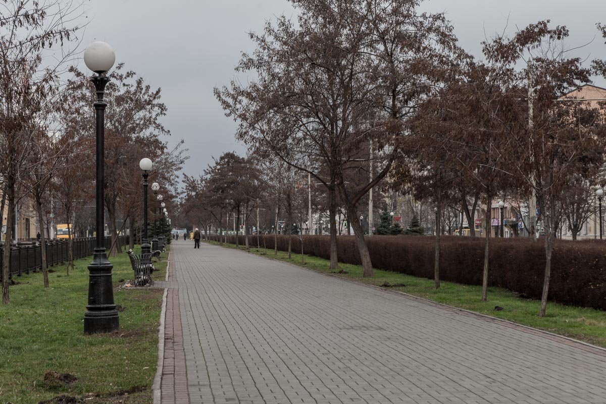 Пустая аллея зазывает на утреннюю пробежку, чтобы сбросить то, что ты наел за неделю