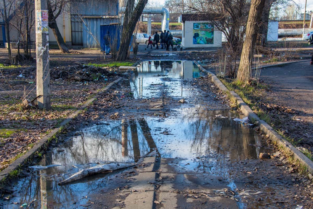 Аллея, по которой могли бы гулять дети Аллея, по которой могли бы гулять дети