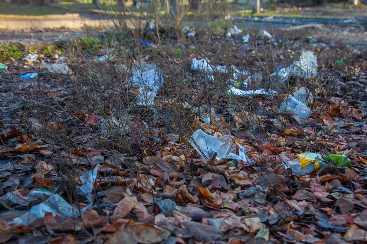 Никаких действий от властей не последовало Никаких действий от властей не последовало
