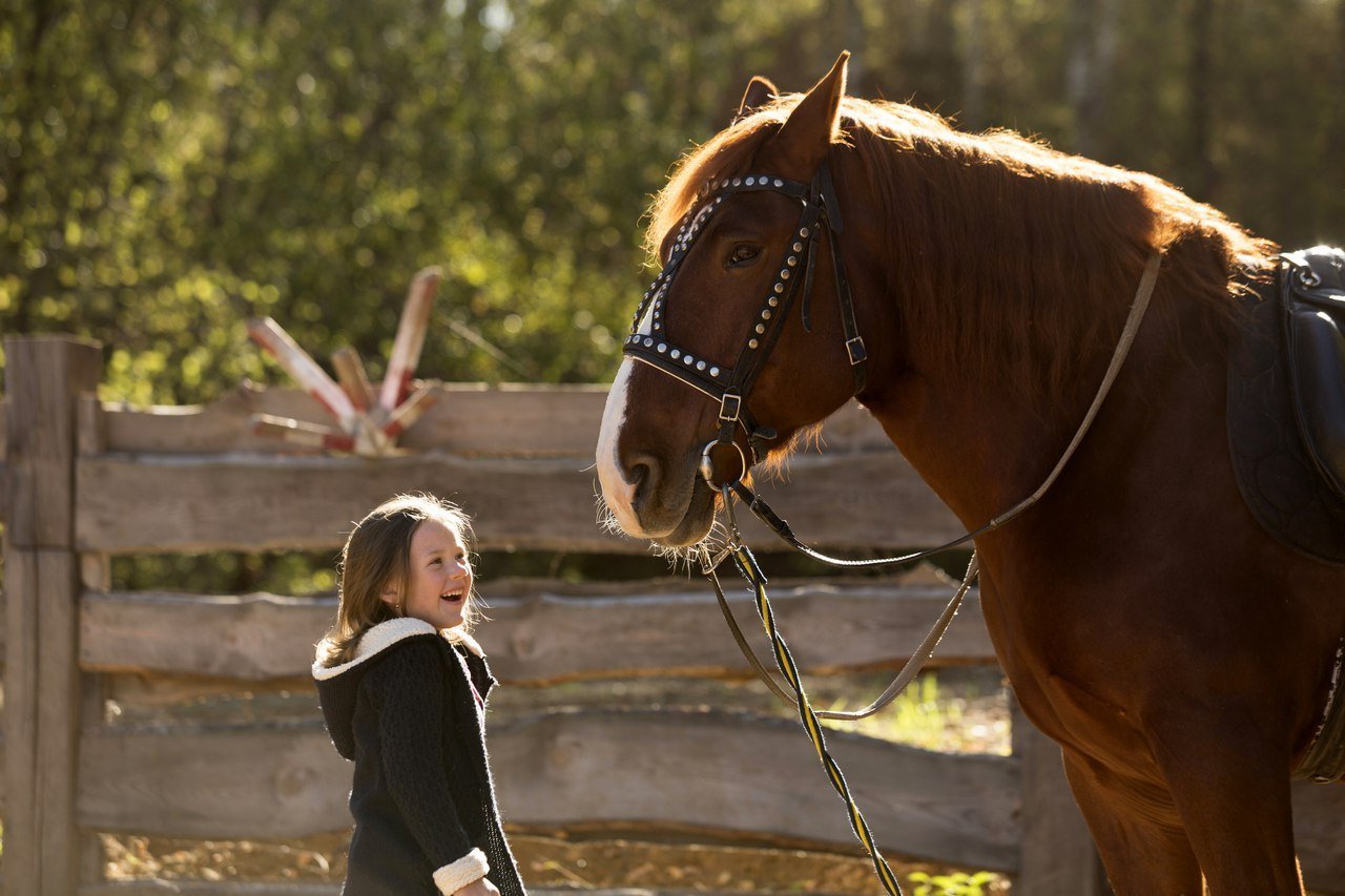 Общение с лошадьми благотворно отражается на физическом и психическом здоровье ребенка Общение с лошадьми благотворно отражается на физическом и психическом здоровье ребенка