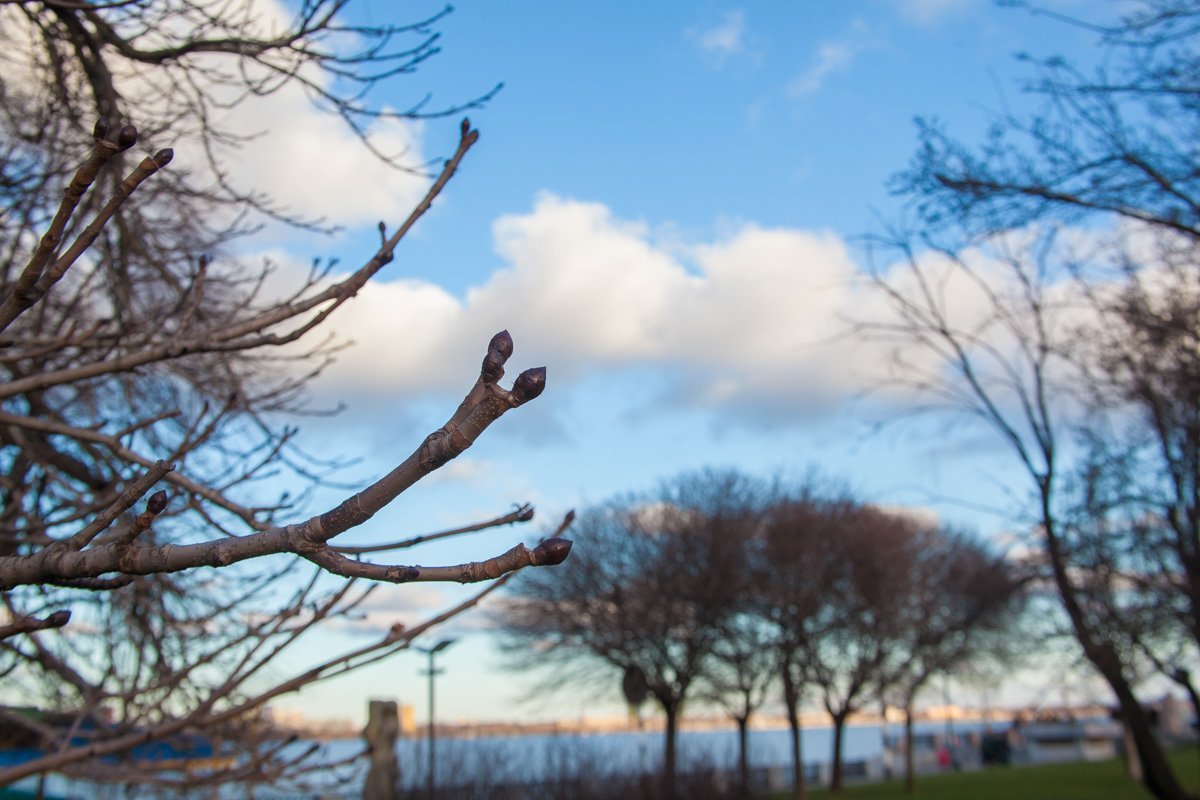 Меня упрекали во всем, окромя погоды.