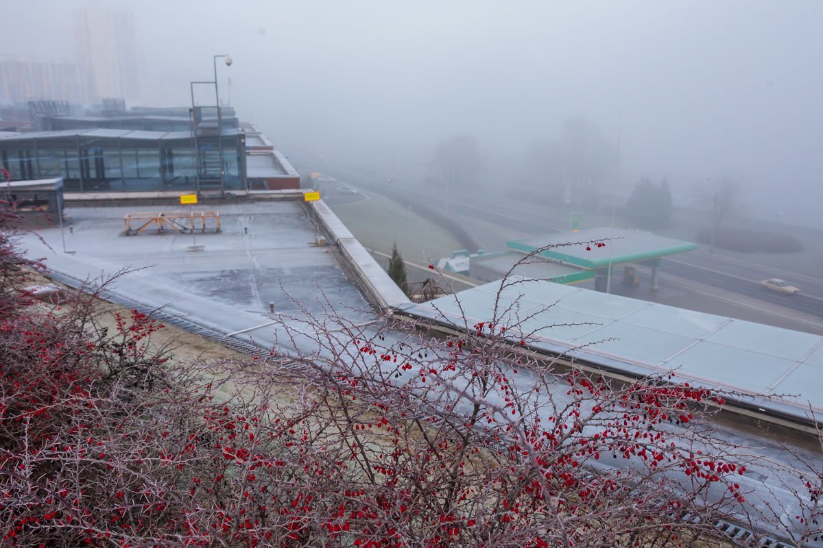 Погода, воцарившаяся в городе, создает особенную, загадочную атмосферу