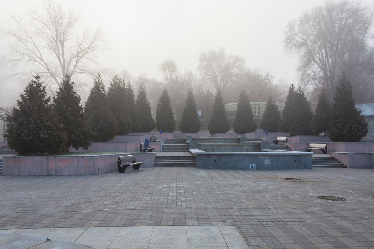 Зеленые красавицы скрылись во мгле