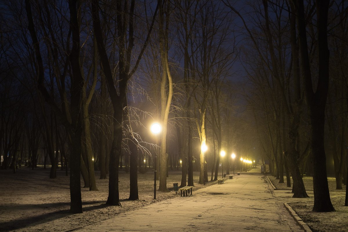 Мурашки по коже от осознания того, сколько событий видели эти аллеи Мурашки по коже от осознания того, сколько событий видели эти аллеи