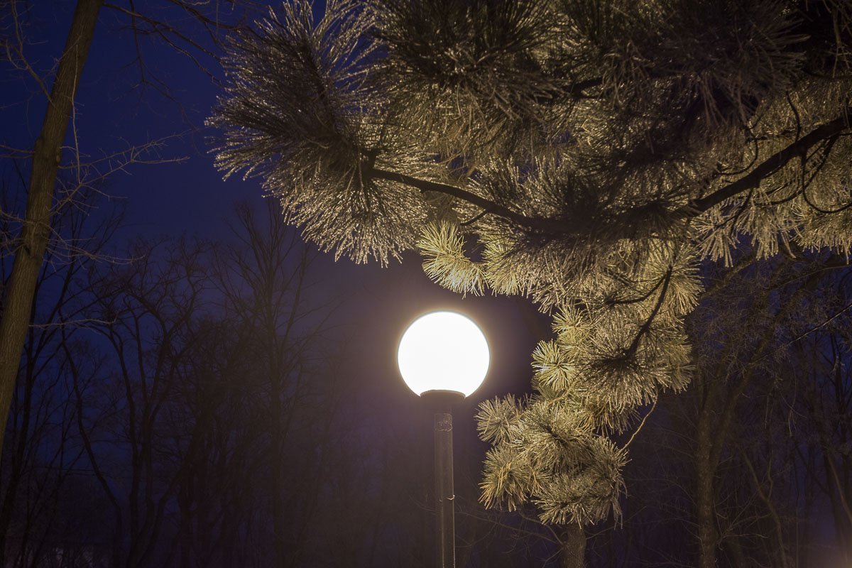 Свет уличного фонаря создает вокруг атмосферу спокойствия и тишины Свет уличного фонаря создает вокруг атмосферу спокойствия и тишины