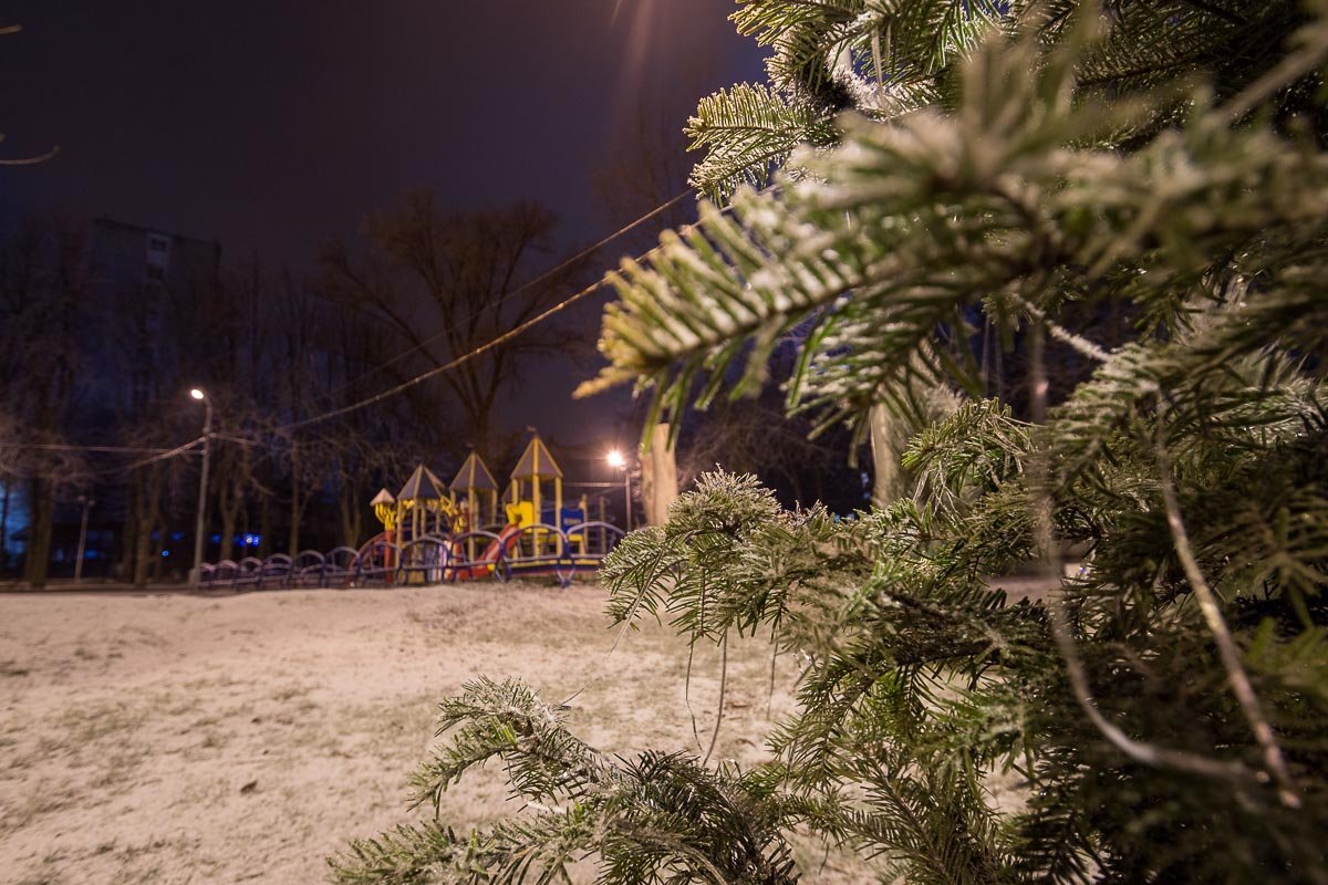 Мудрое, старое растение скрывает вычурные детали настоящего времени Мудрое, старое растение скрывает вычурные детали настоящего времени