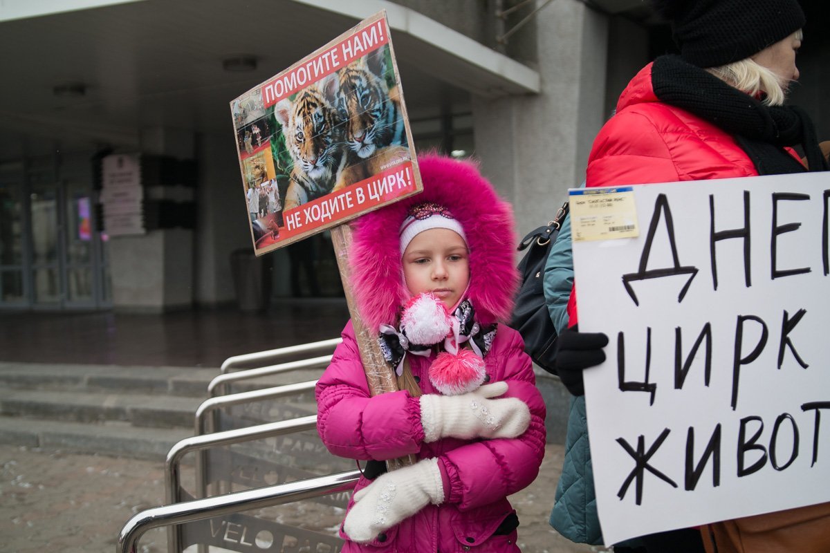 Активисты призывают оградить детей от опасного зрелища Активисты призывают оградить детей от опасного зрелища