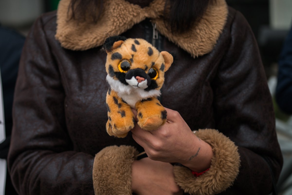 Представление "Полосатый рейс" вызвало большое обсуждение в сети Представление "Полосатый рейс" вызвало большое обсуждение в сети