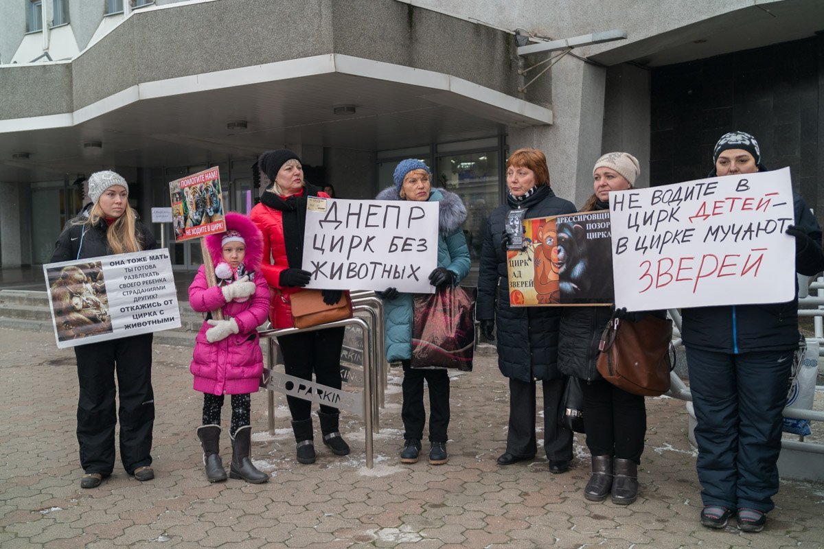 Митинг собрал около 20 неравнодушных Митинг собрал около 20 неравнодушных