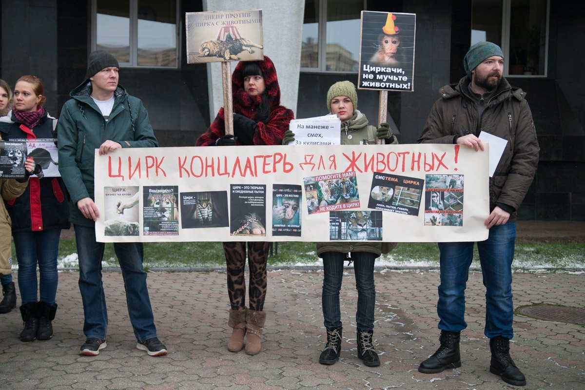 Митинг против жестокости в Днепропетровском цирке Митинг против жестокости в Днепропетровском цирке
