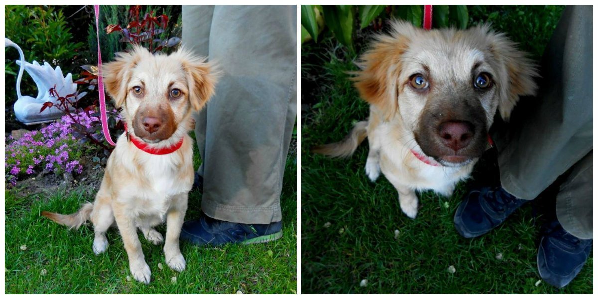 Малышка ждет именно тебя