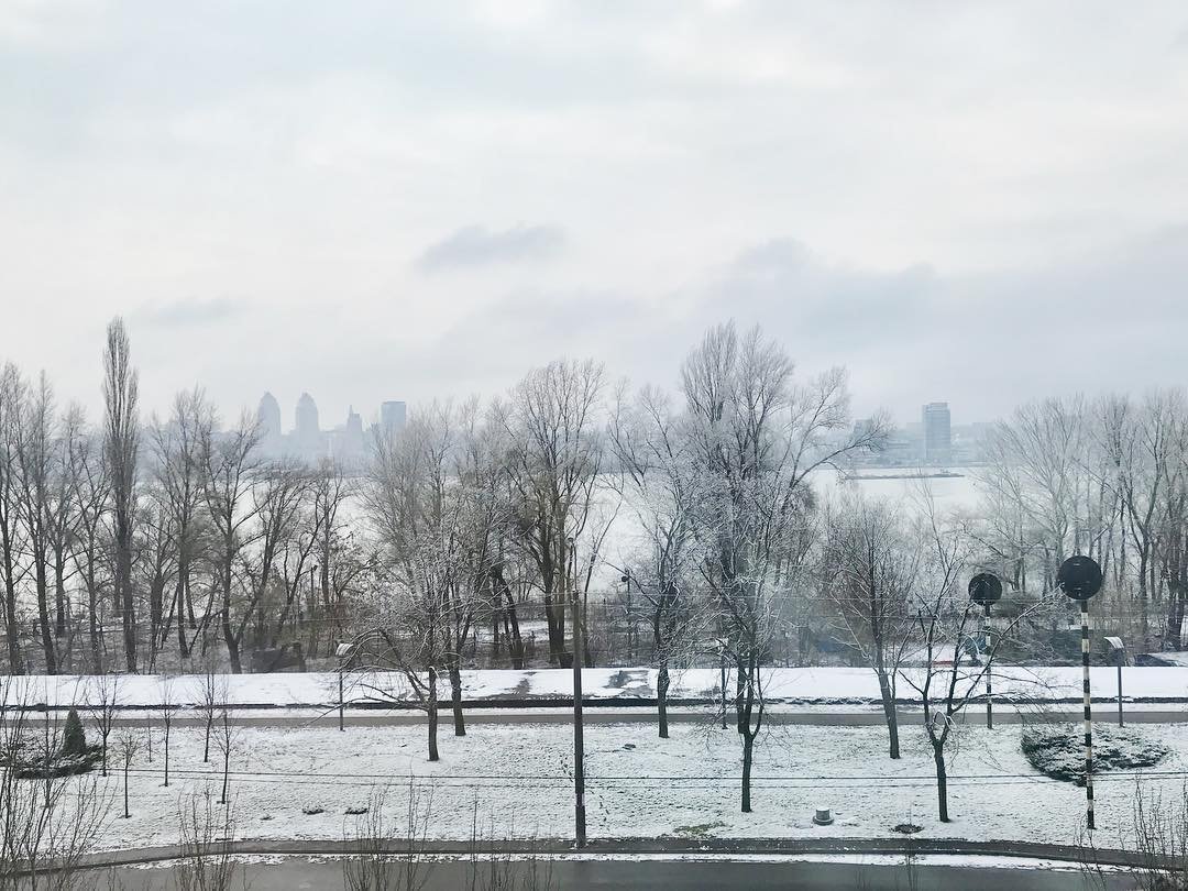 Первый снег в новом году, фото: violaycc