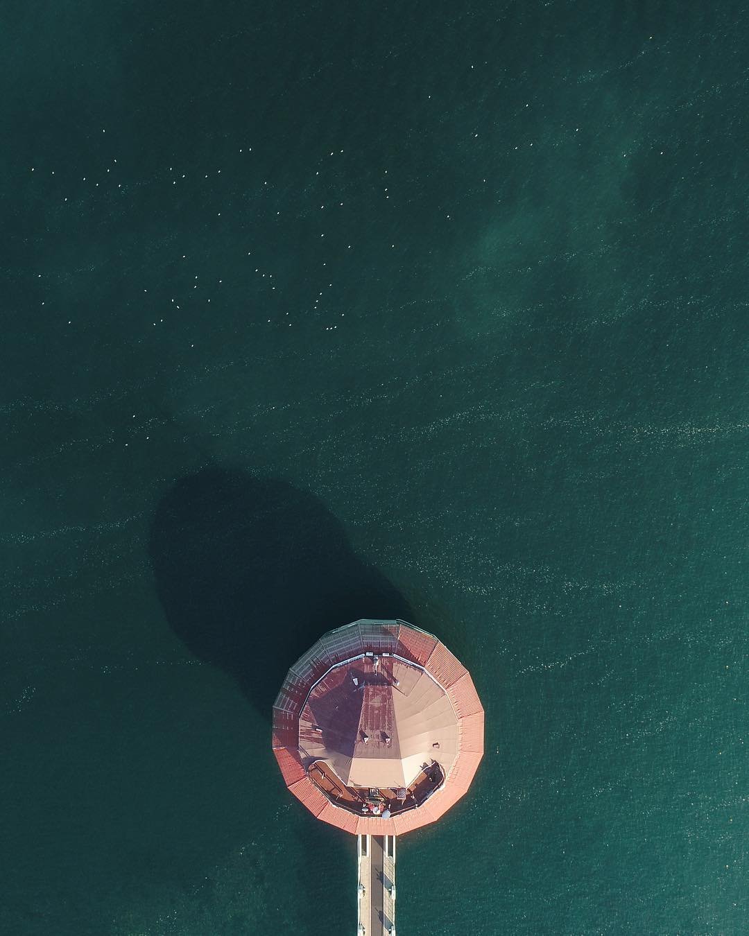 Поплавок, фото: alexbrenko