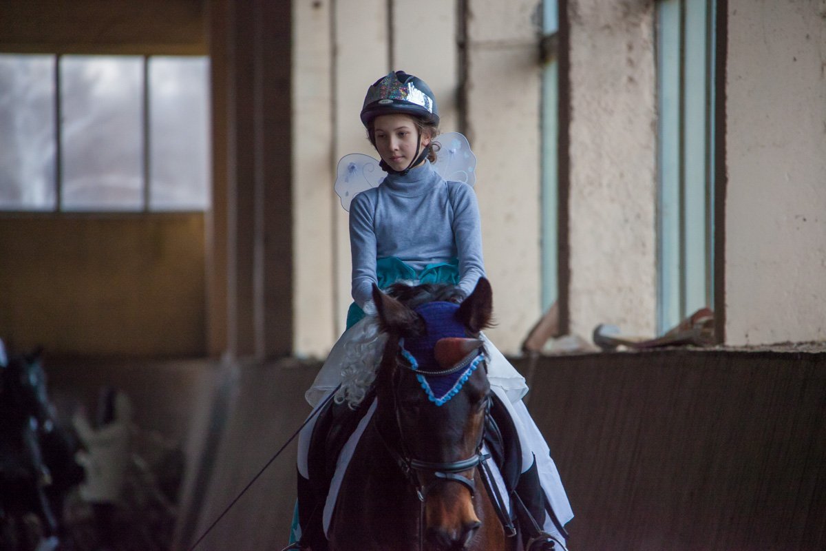 Маленькая фея верхом на единороге Маленькая фея верхом на единороге