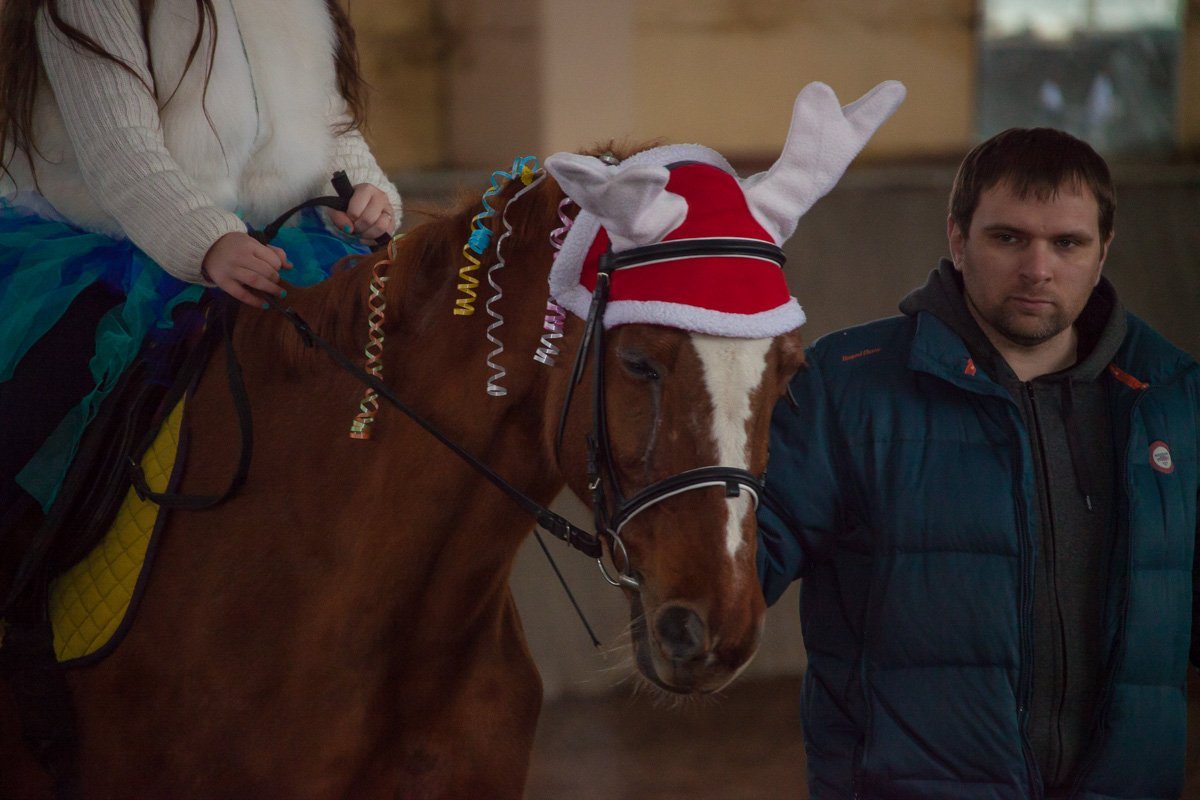 Зимняя сказка верхом на настоящем олене Зимняя сказка верхом на настоящем олене