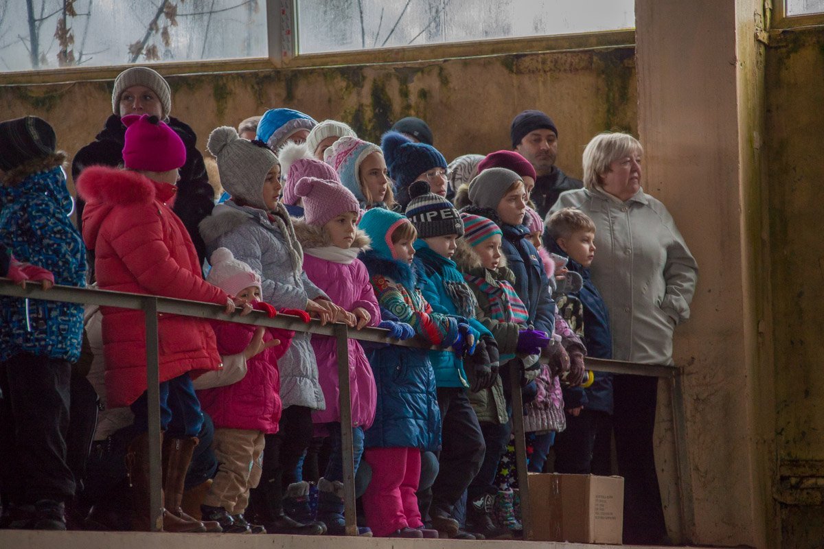 Всем детям раздавали сладкие подарки Всем детям раздавали сладкие подарки