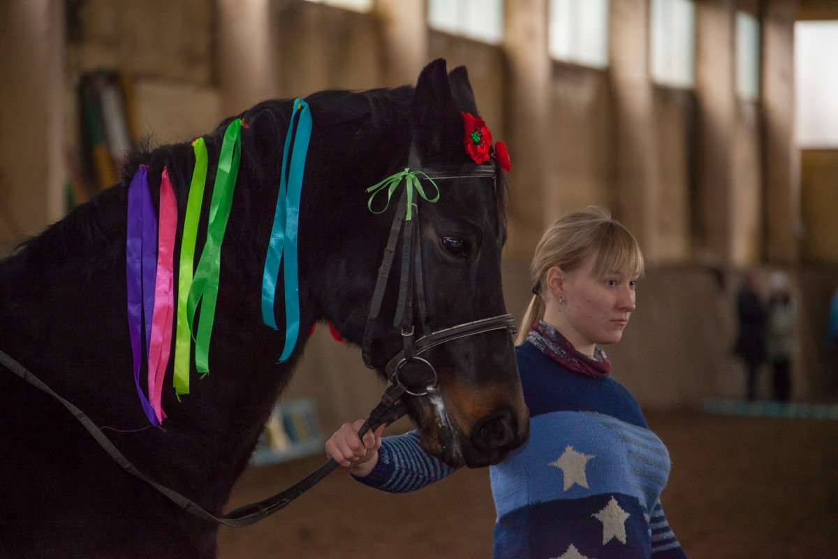 Лошадей нарядили в праздничные костюмы Лошадей нарядили в праздничные костюмы