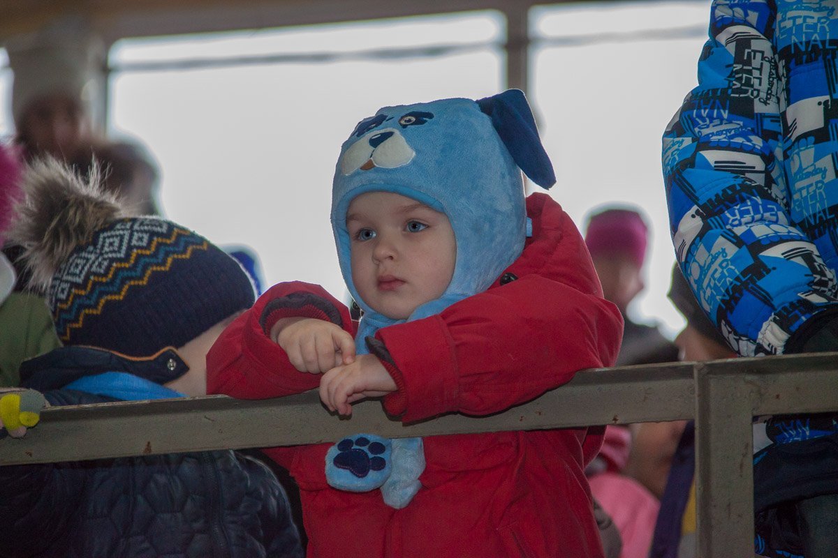 Маленькие зайчики тоже пришли на выступление Маленькие зайчики тоже пришли на выступление