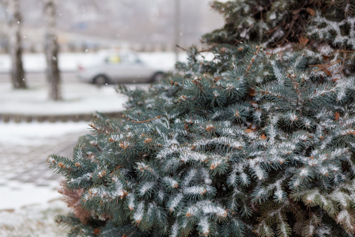 Вот видишь снег, и хочется улыбаться