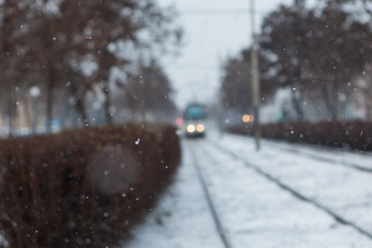 Лови момент: уже завтра снега может и не быть